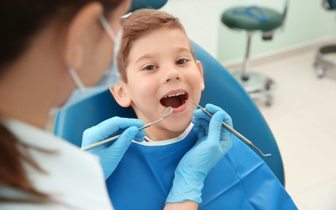What to Look for When Trying to Find a Dentist for Kids